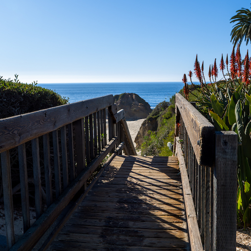 beach view